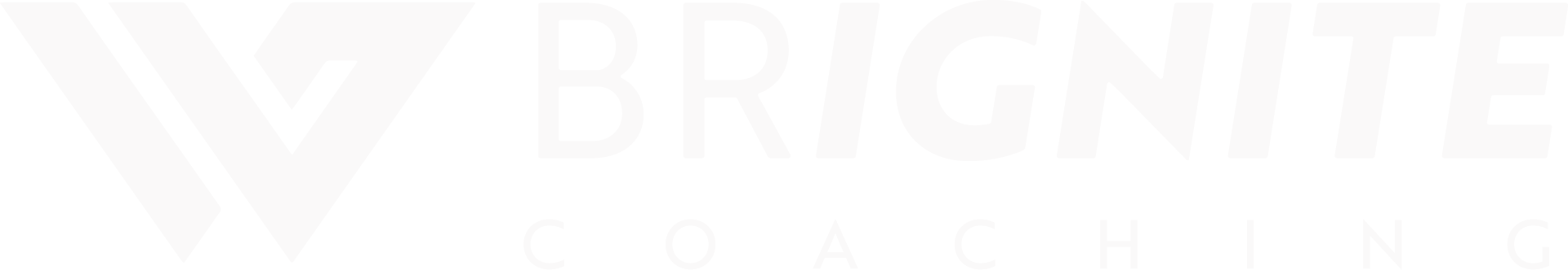 Brignite logo vit